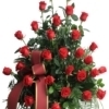 Centro Funerario 30 Rosas