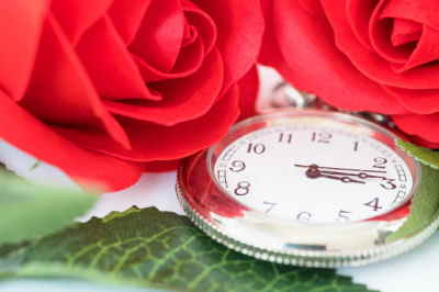 Bouquet 12 Rosas Tallo Corto, Ramo de Rosas Rojas para San Valentín, Rosas Rojas para Sant Jordi, Rosas Rojas, Envíos Florales Urgentes a Valencia