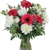 Ramo Clavel y Gerberas