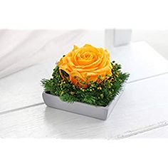 Rosa Preservada, Regalo de San Valentín, Rosa Eterna, Floristería Online, Rosas Naturales, Floristerías en Valencia, Floristería Flores Laura