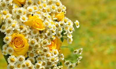 Flores primaverales