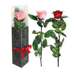 Rosa Preservada, Regalo de San Valentín, Rosa Eterna, Floristería Online, Rosas Naturales, Floristerías en Valencia, Floristería Flores Laura