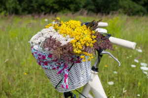 Comprar Flores Online, Ramos de Flores a Domicilio, Regalar Ramos de Flores, Floristería en Valencia, Envíos Florales Urgentes a Valencia