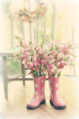 Comprar Centro de Flores Online, Floristería de Valencia, Flores y Cestas de Frutas para Regalar, Regalar Flores en Valencia, Enviar Flores en Valencia