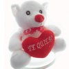Osito Amor Pequeño